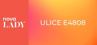 Ulice E4808