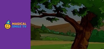 The Winner takes all