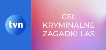 CSI: Kryminalne zagadki Las Vegas S12E4 - Burmistrz i pokojówka