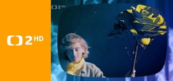 Zprávy v českém znakovém jazyce