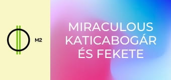 Miraculous Katicabogár és Fekete Macska kalandjai - Rémúrnő