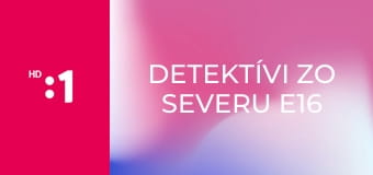 Detektívi zo severu E16 - Lübecký roh