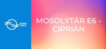 Mosolytár E6 - Ciprián mester – Elvonókúra