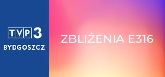 Zbliżenia E316