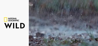 Kalahari: Podzemní poušť Afriky