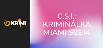 C.S.I.: Kriminálka Miami S8E14 - Vo vetre