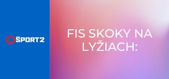 FIS Skoky na lyžiach: SP mužov: Planica