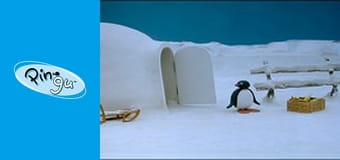 The Pingu Show Sezon 1 Odcinek 78
