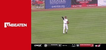 American Association of Professional Baseball