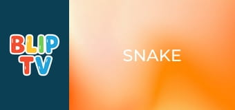 Snake Snake