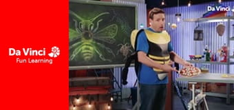 ScienceXplosion - The Buzz on Bugs