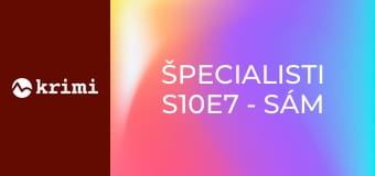 Špecialisti S10E7 - Sám proti mafii