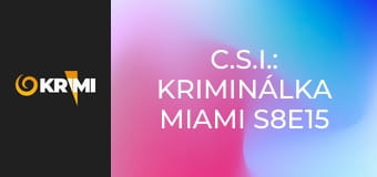 C.S.I.: Kriminálka Miami S8E15 - Miami, máme problém