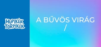 A bűvös virág / Apáknapi ajándék