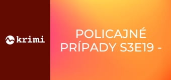 Policajné prípady S3E19 - Krádež benzínu, Rozchod, Opustený dom, Prepadnutá babička