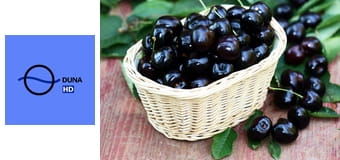 Ízőrzők E5 - Péteri