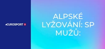 Alpské lyžování: SP mužů: Beaver Creek