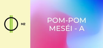 Pom-Pom meséi - A radírpók