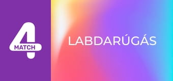 Labdarúgás. Serie A: Full Impact