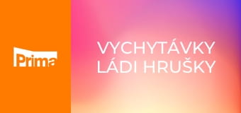 Vychytávky Ládi Hrušky