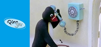 Pingu Sezon 4 Odcinek 8 Pingu Sezon 4 Odcinek 8