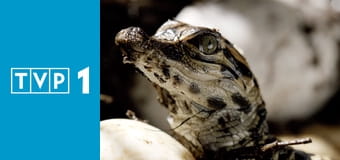 Pory roku w Ameryce E4 - Zima