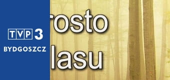 Prosto z lasu