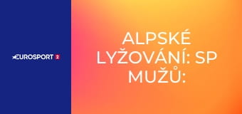 Alpské lyžování: SP mužů: Levi