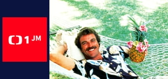 Magnum - Čtyřicítka