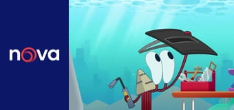 Bernieho dobrodružství