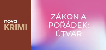 Zákon a pořádek: Útvar pro zvláštní oběti S26E12 - Drobný přestupek