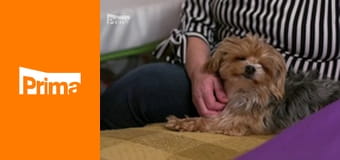 Jak se staví sen - extra Jak se staví sen - extra