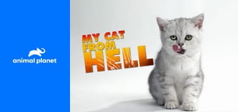 Má pekelná kočka S2E6 - Matylda vs. Black Rose a Polly Má pekelná kočka S2E6 - Matylda vs. Black Rose a Polly