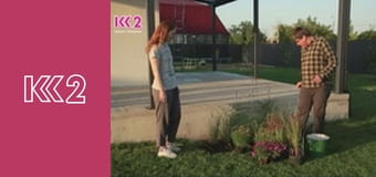 Удачний проект S3E18