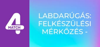 Labdarúgás: Felkészülési mérkőzés - Anglia – Japán