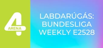 Labdarúgás: Bundesliga Weekly E2528