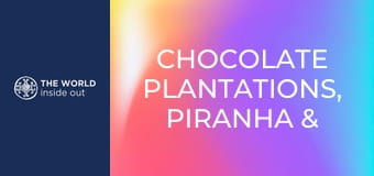 Čokoládové plantáže, lov piraní a krokodílov. Bolívia.