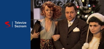 Nesnáze pana účetního