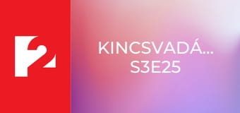 Kincsvadászok S3E25