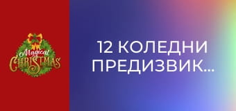 12 Коледни предизвикателства