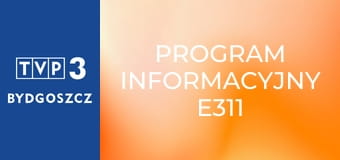 Program informacyjny E311