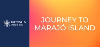 Cesta na ostrov Marajó a lov mangrovových krabov. Brazília. Cesta na ostrov Marajó a lov mangrovových krabov. Brazília.