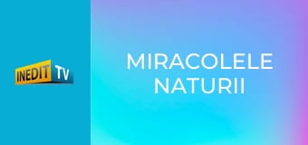 Miracolele naturii