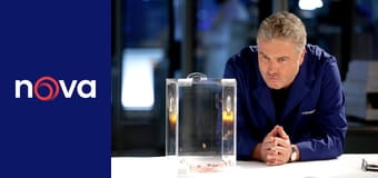 Kriminálka Vegas S2E2 - Nabarvený muž