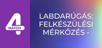Labdarúgás: Felkészülési mérkőzés - Brazília – Horvátország