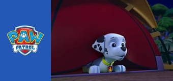 Patrula căţeluşilor Sezonul 2 Episodul 14