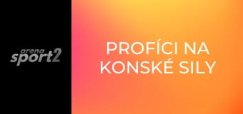 Profíci na konské sily
