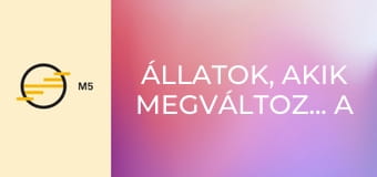 Állatok, akik megváltoztatták a történelmet E4 - Társaink