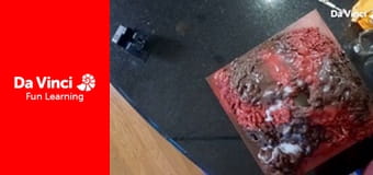 DIY SCI - Science Fair DIY SCI - Science Fair