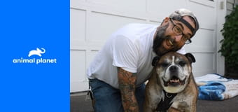 Zvířecí obydlí S1E1 - Luxusní kočičí hrad